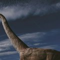Naučnici otkrili novu vrstu gigantskog dinosaurusa u Tajlandu