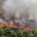Izgorelo skoro 30.000 hektara u Gvadalahari