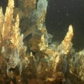 U Grčkoj pronađena jedna od najstarijih živih vrsta: Rešenje misterije porekla života na Zemlji krije se u morskom dnu