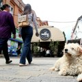 Kad nam stiže 30 stepeni: RHMZ objavio kakvo nas vreme očekuje narednih dana