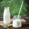 Jogurt ili kefir? Šta je zdravije po mišljenju lekara