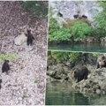Ribolovci ostali zatečeni prizorom na jezeru zaovine: Jedan od njih odmah izvadio telefon i počeo da snima! Ovo se retko viđa…