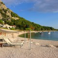 (Foto) u Crnoj Gori primećena otrovna riba! Kontakt sa njom može biti koban - evo šta moraju znati svi kupači