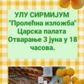 Prolećna izložba ULU Sirmijum otvara se 3. juna u Carskoj palati