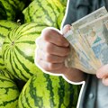 Ovogodišnji rod lubenica obećava; Veći prinos ne garantuje i veću zaradu, nju određuju ovi faktori