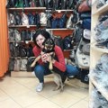 Ulični psi pronalaze sreću u butiku Olivere Ilić