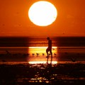 Globalni okean dostigao rekordno visoku temperaturu: Očekuje se dodatno pogoršanje zbog El Ninja