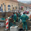Ulica Vuka Karadžića još zelenija: Nastavljena sadnja stepske višnje u čuvenoj ulici u Vršcu