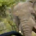 (Video): Slon trči ka turistima koji vrište, životinja obara vozilo i ubija ženu: Zastrašujući prizori na safariju, sve…