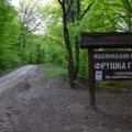 Snima se Robin Hud na Fruškoj gori, deo puta zatvoren