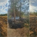Goli kablovi kao uzrok požara: Meštani sela kod Knića odavno upozoravaju na problem