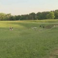 Europa Nostra zabrinuta zbog građevinskih radova u zaštitećoj zoni Slobodište u Kruševcu
