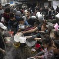 Dižarik: Nijedan humanitarni UN konvoj nije stigao do severa Gaze od 23. januara