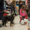 Pet Network International preuzima Pet Republic Group