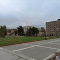 Radovi na uređenju parkovskih površina: Uređuju se cvetne leje, vrši se orezivanje šiblja, okopavanje i polivanje rasade