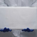 Postoji jedan ključni problem koji sprečava bržu i širu upotrebu Solid State baterija u EV