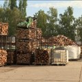 Da bi vam zima bila toplija i jeftinija - kupite ogrev na vreme
