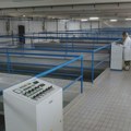 Alarmantno stanje na Rzavu: Suša preti da ovaj deo Srbije ostavi bez vode, inspekcije kreću na teren!