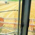 U ovogodišnjoj žetvi očekuje se za 20 odsto više pšenice nego lane