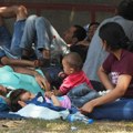 MUP i Interpol zajedno kontrolisali migrante kod Subotice i Sombora