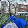 Ćaci se povlače iz Pionirskog parka