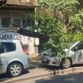 Na Karaburmi palo drvo, uništen automobil VIDEO