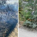 Bukte požari u Topličkom okrugu: Izgorelo više objekata, najgora situacija u ova 3 mesta