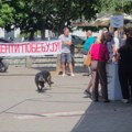 Za samo tri sata preko 2000 potpisa protiv nekontrolisanog širenja rudarskih aktivnosti oko Zaječara