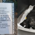 ОПРЕЗ: У кућици у Великом парку присутан парвовирус, смртоносан за невакцинисане псе!