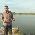 Veliki pomor ribe kod Krnjače na bari Veliko blato