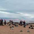 Blizu 73.000 tona peska sa mazutom uklonjeno sa plaža okruga Anape i Temrjuka