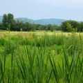 Da li je ulaganje u zemljište isplativije od stnova i garaža? Svako ima svoje prednosti, evo računice