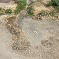 Samo uporno i nadležni moraju da reše problem