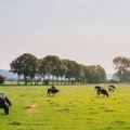 Prvi mini sajam stočarstva otvoren u Melencima