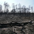 Štab za vanredne situacije Kovin: Požar i dalje aktivan, ali situacija mirna i stabilna