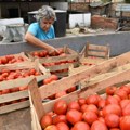 Superćelijska oluja udarila i na paradajz Cena kilograma od 150 pa naviše, evo koliko je potrebno za litru ceđenog soka