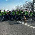 Studenti stigli do Petrovaradina, veliki broj Novosađana ih dočekuje (UŽIVO)