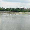Nekoliko plovila sa porukom "Srbija pobeđuje" prošlo Dunavom kroz Novi Sad