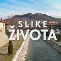 Slike života, nedelja u 15.15h: Pazar na Rogozni