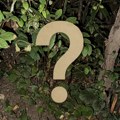 Bio je NEZVANI GOST, a sad JEDVA ČEKAJU DA GA VIDE: Zašto jedna porodica obožava kad čuje šuškanje u živoj ogradi? (FOTO)…
