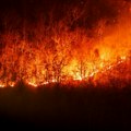 Kriminalna Banda hara Brazilom: Osumnjičena za podmetanje 2.100 požara na poljima šećerne trske