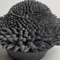 Arts Hub: Kunimasa Aoki
