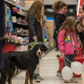 Hrvatska: Pet Network International preuzima Pet Republic Group u Srbiji