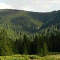 Parkovi prirode kojim gazduje JP „Srbijašume” mesta gde caruju očuvani prirodni ekosistemi i živopisni pejzaži