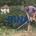 Kilogram paprika 250 dinara - cena skočila ali potražnja je ogromna: Njegoš iz Prijepolja ima manje roda nego lani ali sve što…