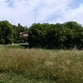 BLOK 21: Gradonačelniče, da li je toliko teško pokositi travu!?