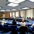 Beriša: Rodna ravnopravnost temelj savremenog društva i pune zaštite ljudskih prava
