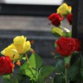 Centralno groblje dobilo info-kiosk: Ukucate ime pokojnika i odmah vidite gde je grob