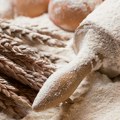 Domaći proizvođači brašna osvojili tržišta Slovenije i Mađarske