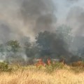 Veliki požar divljao njivama, policija evakuisala građane: Dramatično u Kruševcu (foto)